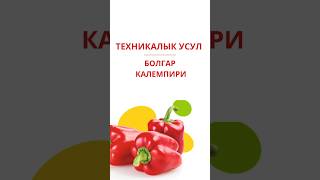 Болгар Калемпири. Техникалык усул