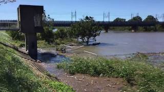 2019年10月13日 JR吉川駅付近の中川の様子。台風19号通過翌日。