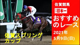 「競馬日本一チャンネル」5月9日(日)のおすすめレース紹介