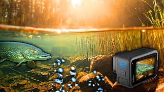 UNDERWATER Pike fishing on the River Trent