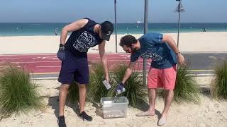 Goumbook x Bloomberg | Beach Clean-up | Save The Butts | Dubai | 2024 04 26