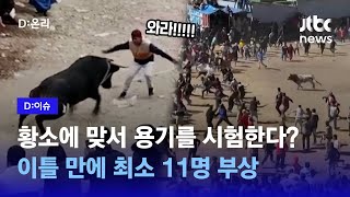 위험천만한 페루 투우축제…전통도 좋지만, 부실한 안전관리에 부상자 속출｜D:이슈