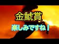 ２０２２【金鯱賞】厳選期待値馬アラタについてコメント下さい