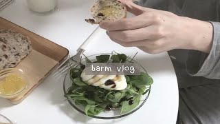 【韩国VLOG|中字】barm-手控福利|十月中旬的平淡一周