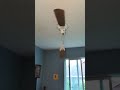 Ceiling fan blades flying off 😦💀#ceilingfan #shorts #funny