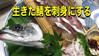 活きたサバの姿造り