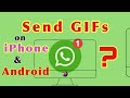How to send a gif on WhatsApp in Android  and iPhone ?