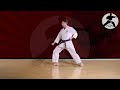 الكاتا الأولي في الكاراتية ( الجزء الأول )   هيان شودان Heian Shodan