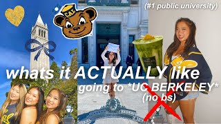 everything i wish i knew before going to uc berkeley | competitive culture, party life, etc.