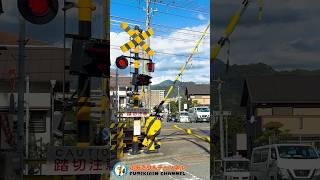 【踏切 電車】なにが通るかな？？？【ふみきりショート動画124】  #shorts