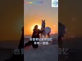 曾~华语歌曲~旋律优美，韵味十足，情深醉人情，音甜醉人心