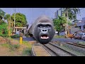 ediannn ada kereta api jadi singa vs 2 gorilla gilla😱😳🤣