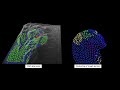 Growing Neural Gas based path planning in an unknown 3D terrain environment