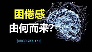 昼夜节律背后的科学：为何日出而作，日落而息？