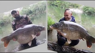 Incroyable doublé de 20kg+ en rivière! pêche carpe.