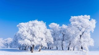 Rime scenery in northeast China’s Jilin city