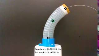 Visual Deformation Measurements of a Continuum Soft Robot