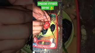 ବାଇଗଣ ଟମାଟୋ ଚୋଖା | ଓଡ଼ିଆ traditional items #Dambarudharsr#cooking #odia#ytviralshort