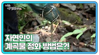 ★산에서 깨끗한 물 얻기★ 산중 생활 15년 차 자연인의 계곡물 정화 방법은?! MBN 210901 방송