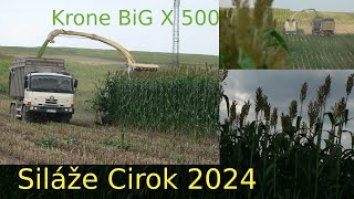 Siláže Cirok 2024 / Krone BiG X 500 / 2x TATRA / New Holland T7030 / PPD Rybany