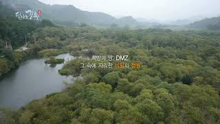 [탐나는강원] 철원 용양보, DMZ 속 비밀의 정원