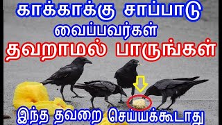 காகாக்கு சாப்பாடு வைப்பவர்கள் தவறாமல் பாருங்கள் | how to feed crow aanmeega thagaval in tamil