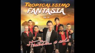 Tropicalisimo Fantasia: Bailando