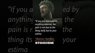 Marcus Aurelius Meditations - Stoic Philosophy Quote #shorts
