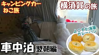 【ねこ旅】横須賀の旅　車中泊翌朝編