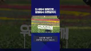 도시에서 정원으로…정원에서 하룻밤까지 #shorts / KBS NEWS