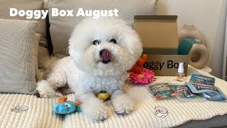 Doggy Box 8月号🪸🐋🏝