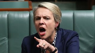 ‘Delay, denial and chaos’: Plibersek lashes Coalition's ‘failed’ energy plans