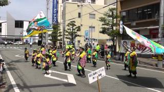 明石海峡とびうお飛っ飛隊