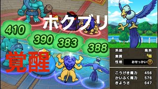 【ドラクエウォーク】ホクブリ極お節介に呪文回復Sつけると・・・！