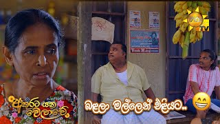 බළලා මල්ලෙන් එළියට...| Akurata Yana Welawe