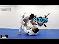 Spider Lasso Sweep & Submissions - Andre Galvao