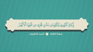48 - سورة الفتح كاملة من أجمل التلاوات | القارئ أحمد النفيس