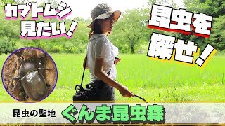 【昆虫探索】カブトムシ大量！！ぐんま昆虫の森