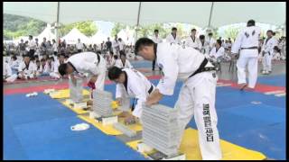 스마트포털뉴스   충주세계무술축제   520G0094 성인부 격파   에스오WT촬영