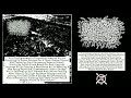 cxuxhxfxrxtxfx vile disfigurement of putrefied... single for ep experimental harsh noise