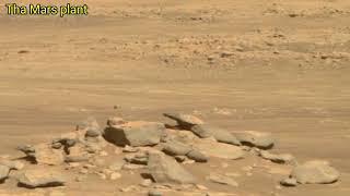 Perseverance Rover Captured Mars Latest Video on sol 216