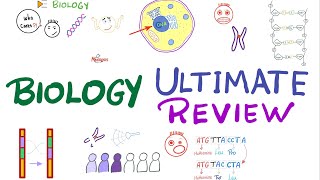 The Ultimate Biology Review | Last Night Review