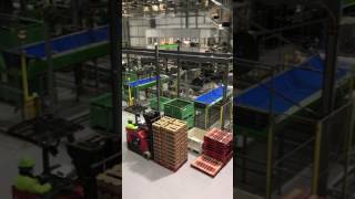 Part 2: Sorting and Packing