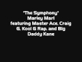 The Symphony - Marley Marl featuring Master Ace and Craig G.wmv