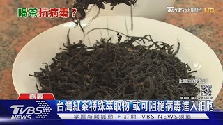 「台灣紅茶」能抗疫? 嘉義長庚研究:可降低新冠病毒感染｜十點不一樣20210603