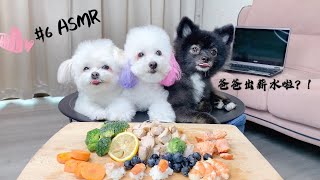 狗狗 #6ASMR 爸爸出薪水啦! 狗狗吃顶级肉肉,海鲜盛宴！#6ASMR Dog Reviewing Food, Premium Pork, Oversea Seafood Feast..!