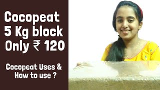 Coco Peat uses l Coco Peat at low price l Best 5 kg Coco Peat block for ₹ 120 | Gardening beginners