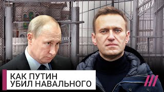 Убийство Навального — спецоперация Путина. Разбор Михаила Фишмана