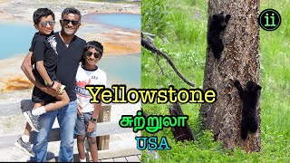 Yellowstone (USA) சுற்றுலா - Travel Vlog in Tamil