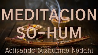 Meditación en Sushumna Naddhi con mantra SO HUM ॐ